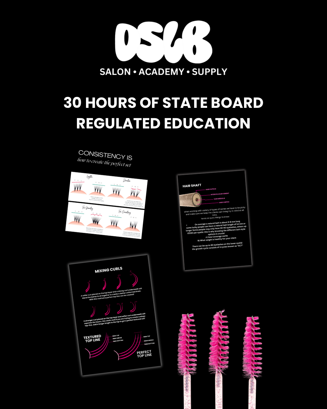 DSLB State Board Certified Classic & Intro to Volumes Eyelash Extension Course